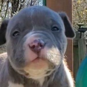 Meet your Posher, Dewayne